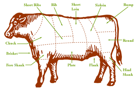 Different beef cuts on beef